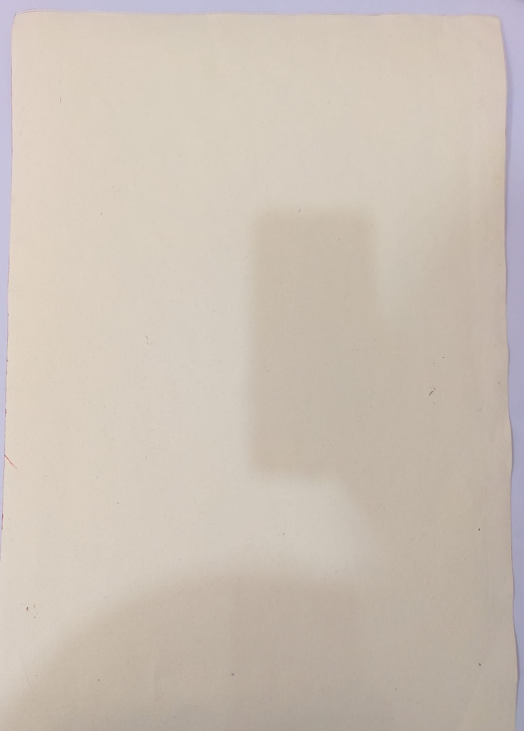 Mithila painting depicting the marriage of Rama and Sita [Shawember] thumb 1